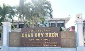 Cảng Quy Nhơn mới được thu hồi về nhà nước nắm cổ phần chi phối từ tháng 6/2019.