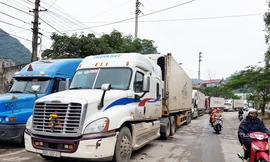 Để giữ khách trong bối cảnh thị trường cạnh tranh gay gắt, các doanh nghiệp vận tải không dám tăng giá cước dù giá xăng dầu tăng mạnh.