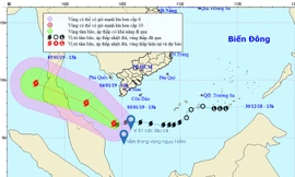 Vị trí các tàu cá nằm trong vùng nguy hiểm của Bão số 1. Ảnh Hệ thống Thông tin duyên hải Việt Nam cung cấp.