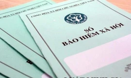 Năm 2018, thanh kiểm tra BHXH tại 30 tỉnh thành