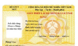 Bắt lỗi Bằng lái xe song ngữ của Bộ GTVT