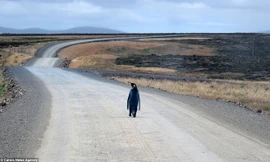 New York Post hôm 14/3 đưa tin, những người qua đường tại Teal Inlet phía đông quần đảo Falkland, Anh, bắt gặp con vật cô đơn cố gắng đi nhờ xe để tới nơi định cư của chim cánh cụt ở gần đó sau khi lạc khỏi đàn.