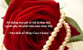 Những câu nói hay nhất cho ngày Quốc tế Phụ nữ