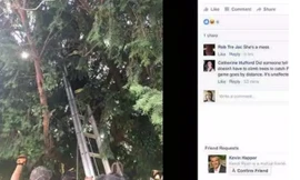 Lính cứu hoả phải dùng thang để giúp đỡ người phụ nữ trèo lên cây cao bắt Pokemon.