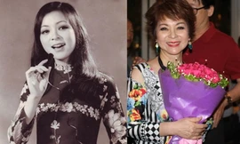 Nhan sắc ca sĩ Ái Vân qua thời gian