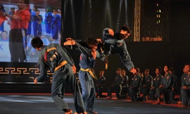 Mãn nhãn những màn biểu diễn tinh hoa võ thuật ở TPHCM