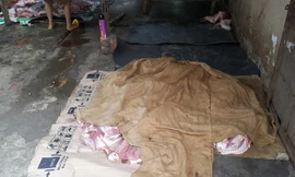 Hơn 3 tạ thịt heo bị buộc tiêu hủy.