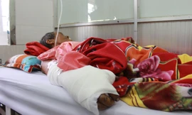 Đào hố trồng cây trúng bom, hai bố con mất tay chân