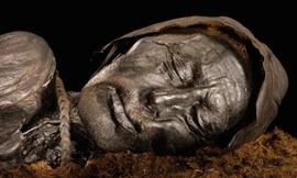 Xác ướp đầm lầy nguyên vẹn nhất thế giới có tuổi thọ 2.400 năm được tìm thấy ở Đan Mạch. Ảnh: Robert Clark.