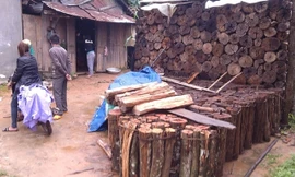 Dấu hiệu nhận biết ngôi nhà có con gái đến tuổi “bắt chồng” là củi.