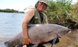 Câu được cá trắm đen khổng lồ. Ảnh minh họa.