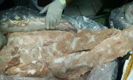 Số nầm heo này đã bốc mùi hôi thối, rỉ dịch.