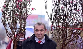 Đại sứ Pháp gói bánh chưng, sắm cành đào chuẩn bị đón Tết Việt