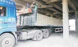 Xi măng Quán Triều tập trung vào hai nhiệm vụ trọng tâm