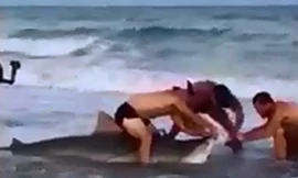 Lính thủy đánh bộ Mỹ tay không banh hàm cá mập hổ