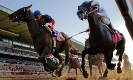 Ở Việt Nam hiện chưa có cơ sở pháp lý liên quan đến hoạt động cá cược.