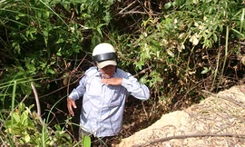 Hai con trâu rơi xuống, rồi trèo khỏi hào sâu dựng đứng thoát ra ngoài. Ảnh: Hoàng Táo.