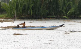 Mưa lớn tại huyện Long Mỹ, tỉnh Hậu Giang chiều 1/5. Ảnh: Duy Khương/TTXVN.