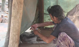 Cụ bà 80 tuổi luyện chó đi giao hàng ở Tây Ninh