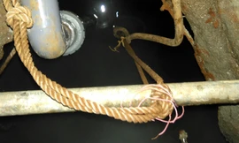 Giếng nước có hiện tượng bất thường.