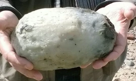 Cặp đôi người Anh vô tình nhặt được kho báu khi đang dạo bờ biển. Ảnh: Mirror.