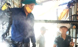 Hãi hùng lò giết mổ nhổ lông gia cầm bằng hóa chất