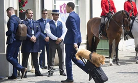 Ngôi sao tuyển Anh ôm khư khư linh vật khi đến EURO 2016