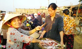 Chợ cá Hà Tĩnh tấp nập trở lại, giá tăng vọt