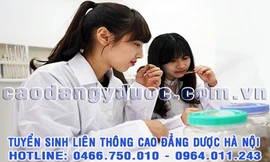 Liên thông Cao đẳng Dược chính quy ở đâu đạt chuẩn Bộ Y tế?