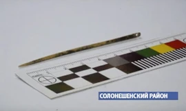 Cây kim được làm từ xương chim và dài 7,6cm.