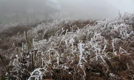 6h sáng nay, trạm khí tượng tại Mẫu Sơn ghi nhận nhiệt độ 0,2 độ C, trời mưa. Tuy nhiên, đây là nhiệt độ đo trong lều khí tượng, cách mặt đất 2 m, thực tế ngoài trời thấp hơn.