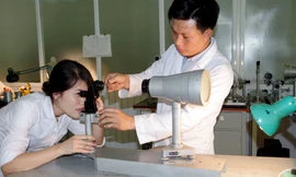 Bên trong 'bệnh viện' súng, pháo khu vực miền Bắc