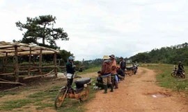 Chuồng trâu bị trộm "ghé thăm".