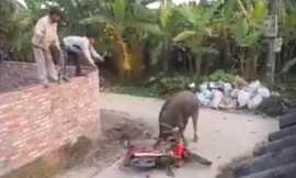 Ảnh minh họa: Internet.