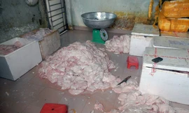 Vú heo được sơ chế trên nền nhà dơ bẩn, bốc mùi hôi thối. Ảnh: A.X.