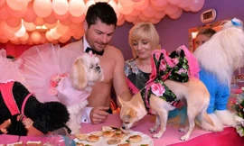 Bữa tiệc chia tay độc thân dành cho chó cưng.