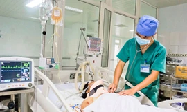 Nạn nhân bị trâu húc đang được điều trị tại Bệnh viện Đa khoa Nghệ An.