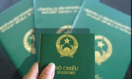 Hơn 4.000 cô dâu Việt lấy chồng nước ngoài xin thôi quốc tịch