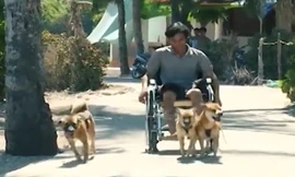 Video: Đàn chó kéo xe cho chủ khuyết tật ở Quảng Ngãi