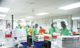 Cty XKLĐ Việt Nam không có đại diện tại Ảrập Xê-út nên khi xảy ra sự cố, người lao động không biết kêu ai. (Trong ảnh: Lao động Việt Nam làm việc tại một nhà máy ở Ảrập Xê-út). Ảnh: Đức An