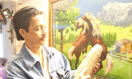 Chủ nhân ngà voi cổ hóa thạch giá 2 triệu USD