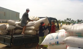 Doanh nghiệp vật vã cạnh tranh giá rẻ