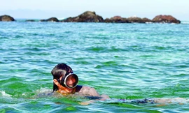 Chuyện ở đảo Bé