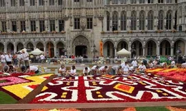 Đặc sắc lễ hội rải thảm hoa tại Bỉ