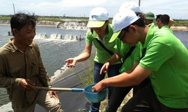 Dự án “xử lý ao tôm” của sinh viên Việt thi quốc tế