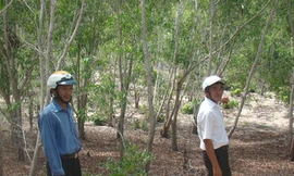 Du lịch về làng, nông dân mất đất