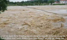Nước lũ đục ngầu đổ về hạ lưu Thanh Hóa, nhiều nhà dân ngập sâu