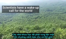Các nhà khoa học rung lên hồi chuông cảnh báo cho cả thế giới