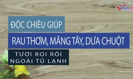 Tuyệt chiêu giúp rau thơm, măng tây, dưa chuột tươi rói trong tủ lạnh