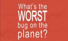 Loài côn trùng tồi tệ nhất hành tinh